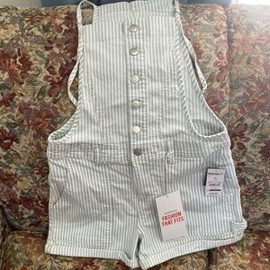 NWT Celebrity Pink Shortall